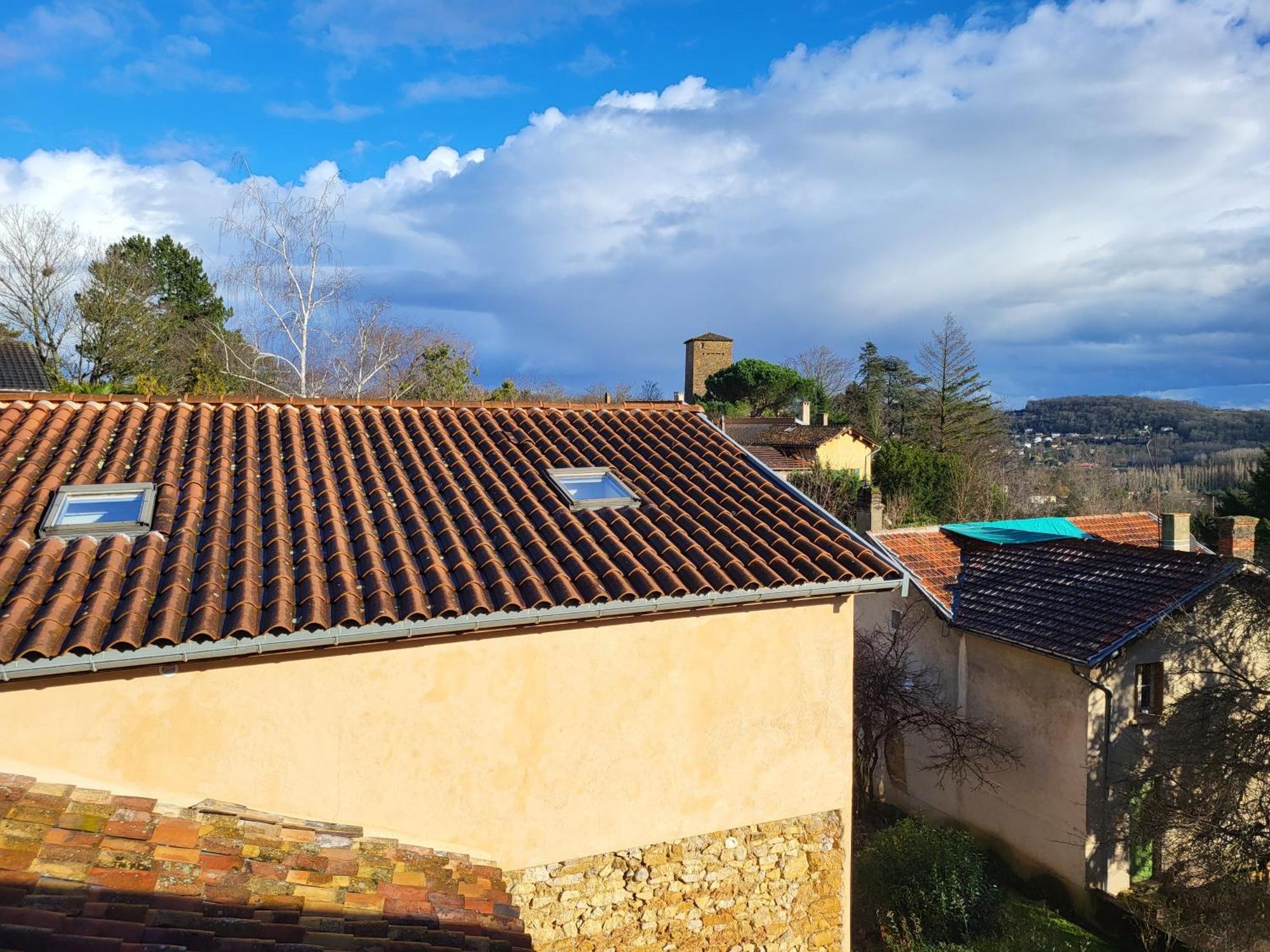 Appartement Gite le grenier des maraichers à Albigny-sur-Saone Extérieur photo