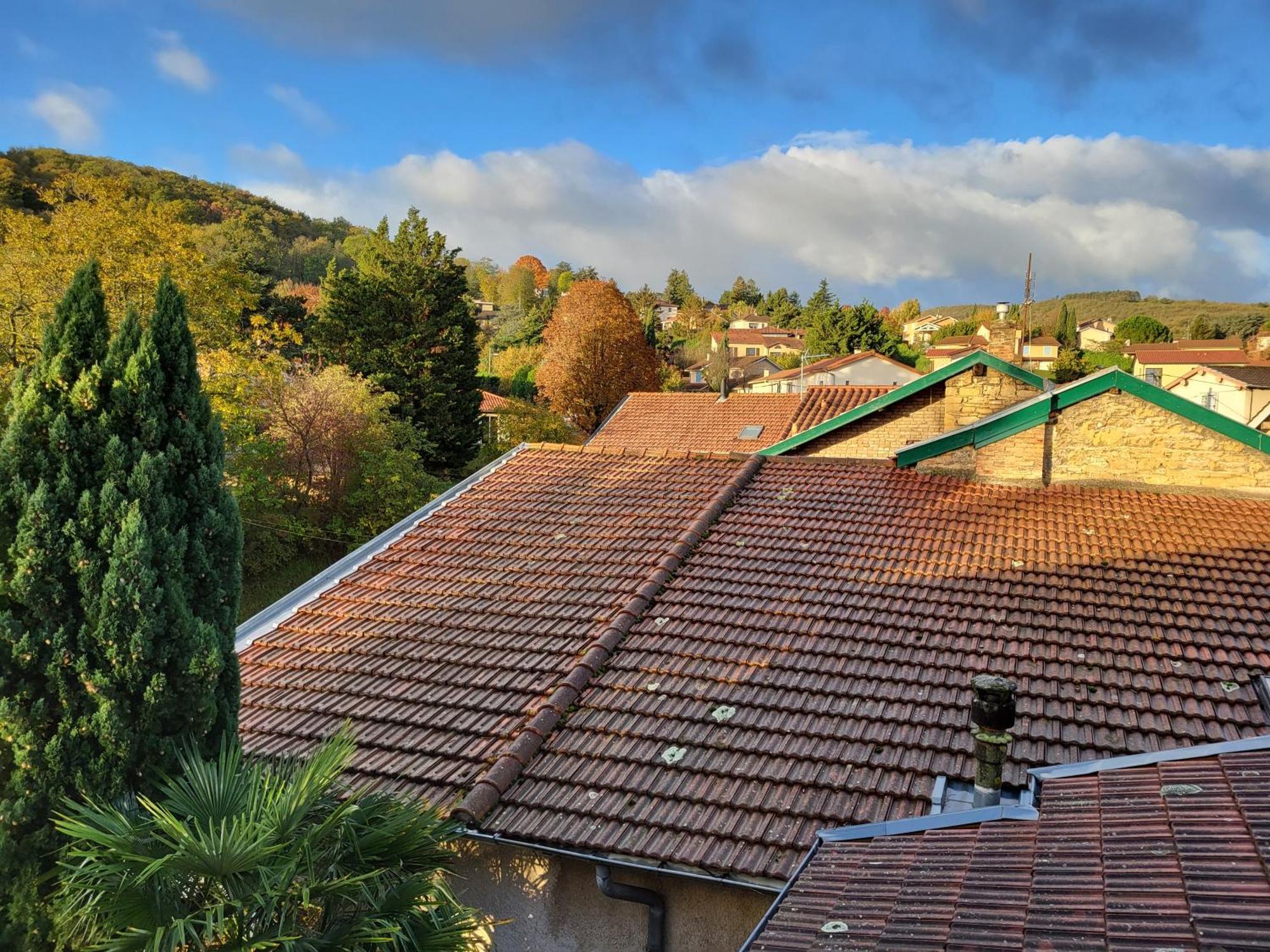 Appartement Gite le grenier des maraichers à Albigny-sur-Saone Extérieur photo